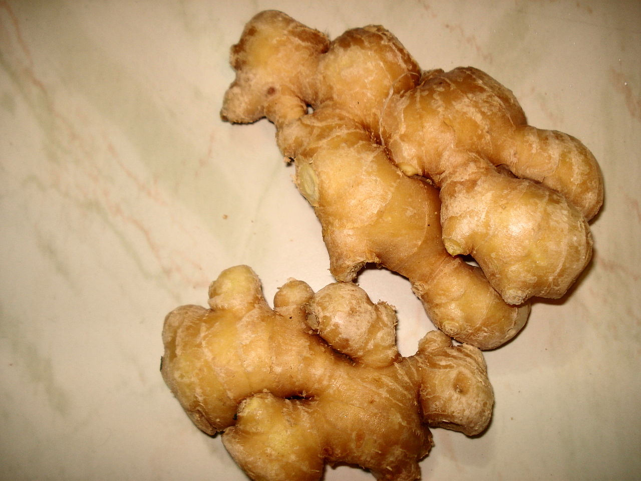 Ginger